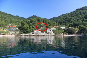 Seaside secluded apartments Cove Rapak, Hvar - 8766